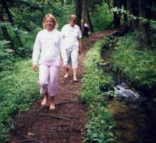 barfu im Paterzeller Eibenwald