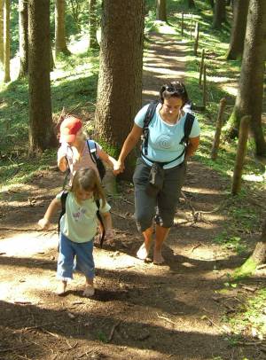 soe_waldweg.jpg (33378 Byte)