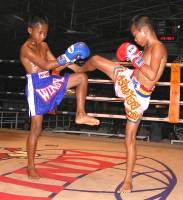 boxethai.jpg (9635 Byte)