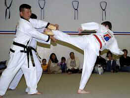 taekwondo.jpg (12142 Byte)