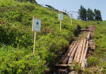 Barfußweg Riesneralm