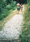cre_waldweg.jpg (73476 Byte)