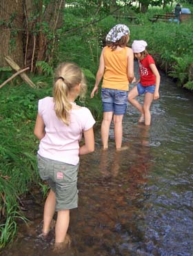 barfuß in hessen