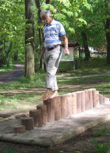 burgstaedt_palis.jpg (68464 Byte)