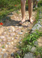 e_k_katzenkopf.jpg (68184 Byte)