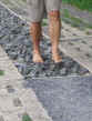 frankenh_basalt.jpg (57783 Byte)