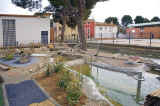 tauste_wassertret.jpg (77975 Byte)